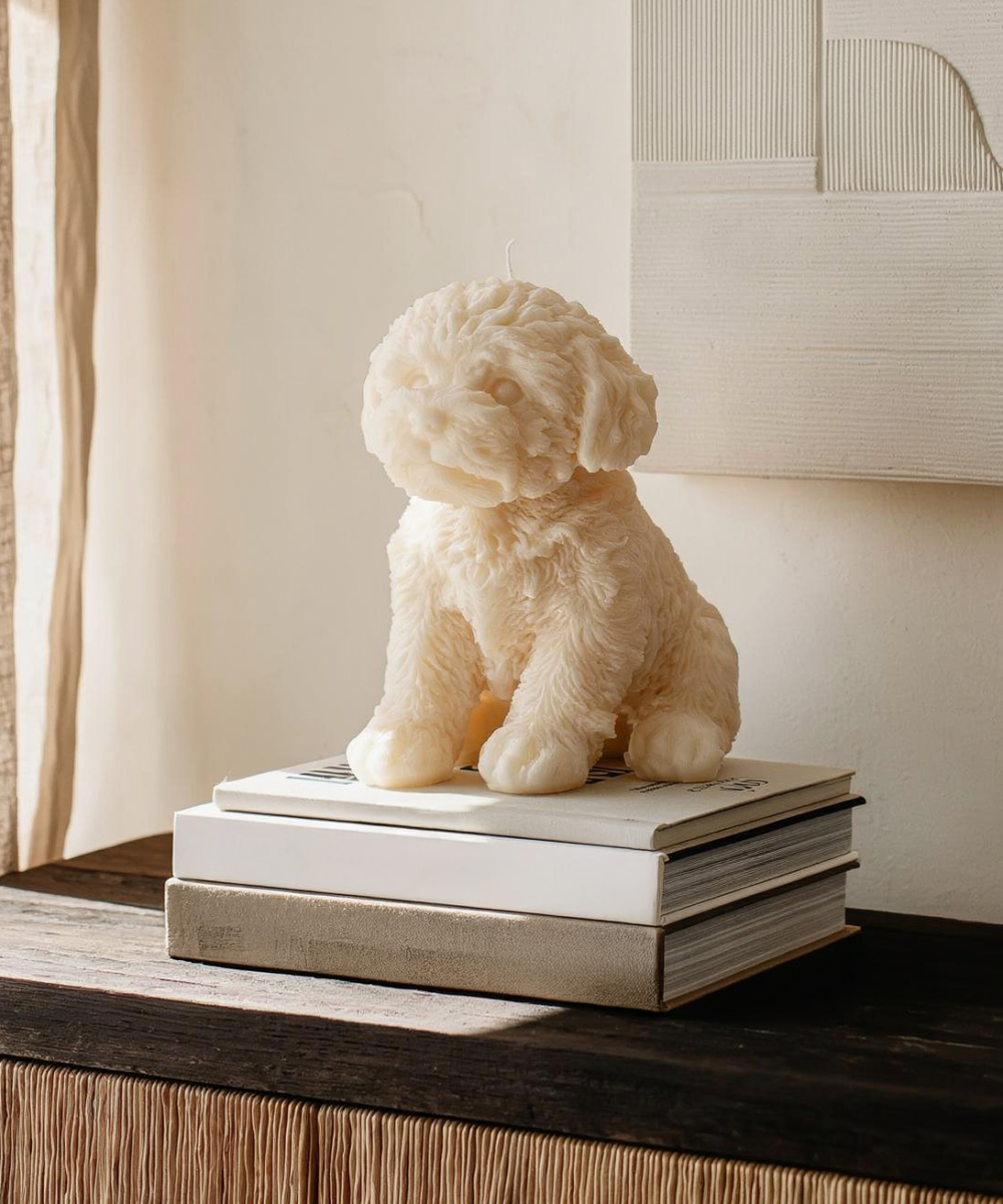 Vela de cão bebé creme com aroma de jasmim