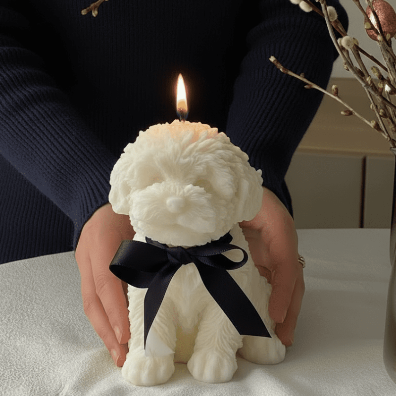 My Little 4 Daura.pt